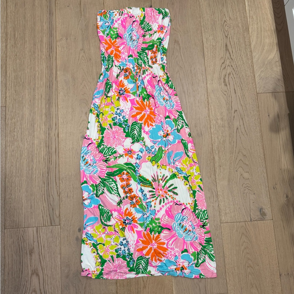 Lilly Pulitzer x Target Nosey Posey Maxi Dress Size XL